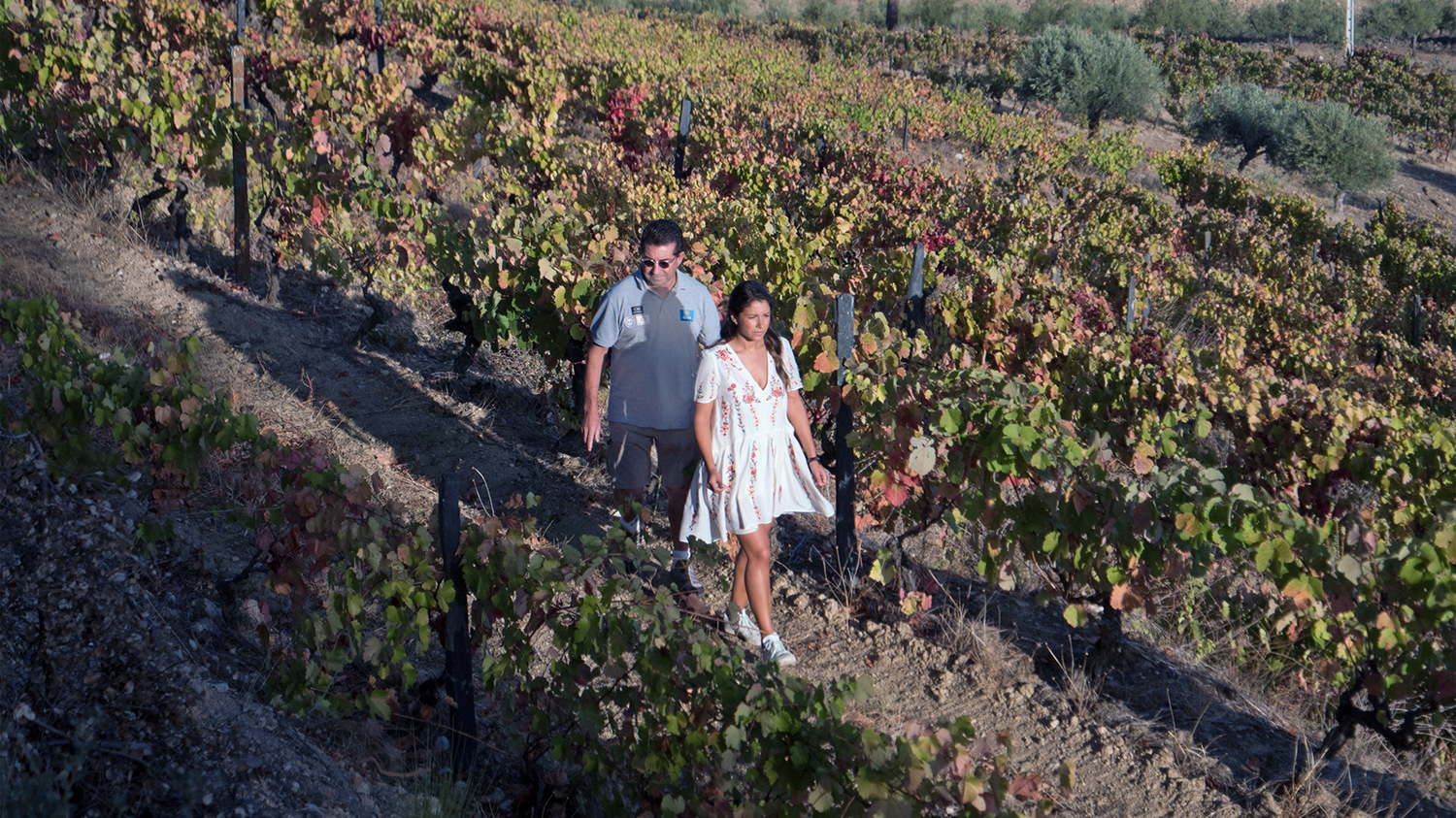 La vallée du Douro: un terroir et des vignobles d’exception à la source des vins F.